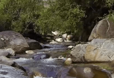 aguas1
