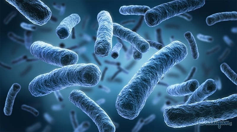 Virus y bacterias en el agua