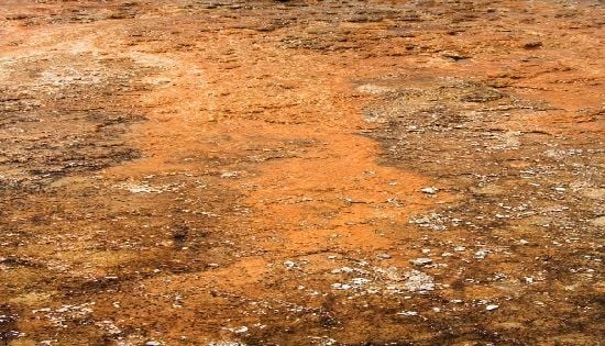 Sedimentación Floculante 