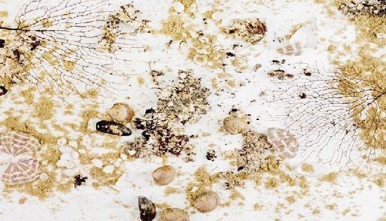 Sedimentacion Obstaculizada