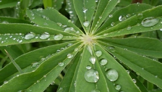 Hidrósfera