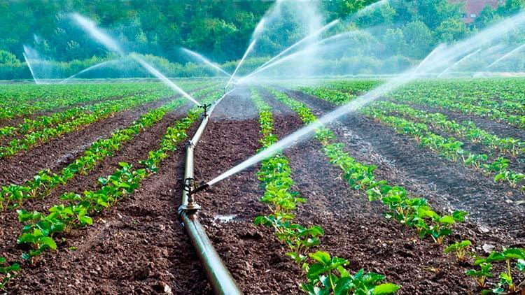 Recurso Hídrico empleado en riegos agrícolas.