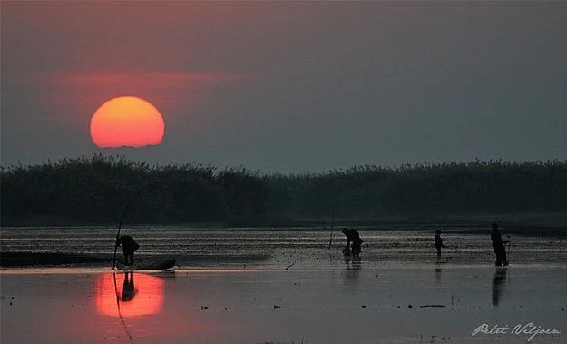 Pantano Bangweulu, Zambia.