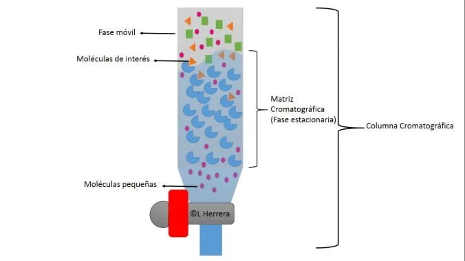 Descripción del funcionamiento de la separación de mezclas heterogéneas de fase líquida mediante cromatografía.