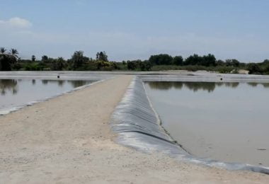 lagunas oxidacion
