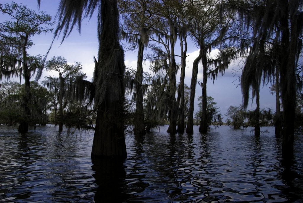 Cuenca Atchafalaya, Estados Unidos.