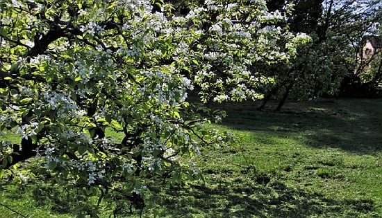 Proteger el medio ambiente nos ayuda a garantizar la preservación de la fauna y la flora residentes en los mismos.