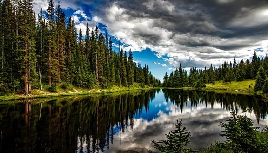 El relieve es un factor que beneficia el equilibrio del medio ambiente ya que puede concentrar gran cantidad de recursos naturales, así como de fauna y flora.