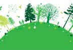 Medio Ambiente
