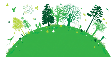 Medio Ambiente