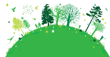 Medio Ambiente