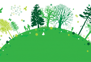 Medio Ambiente