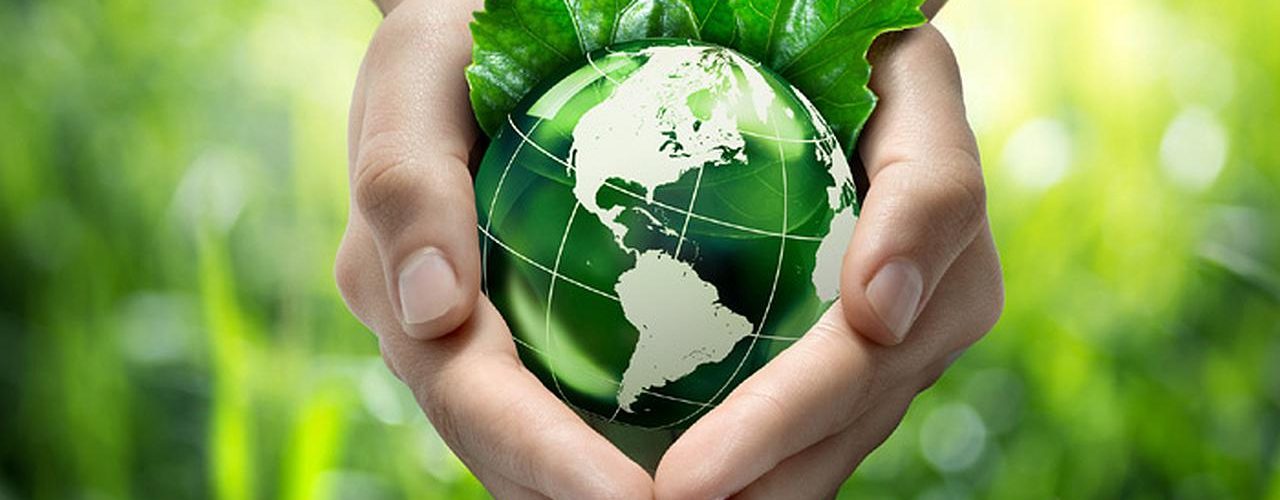 Medio Ambiente