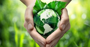 Medio Ambiente