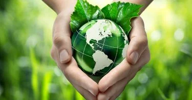 Medio Ambiente