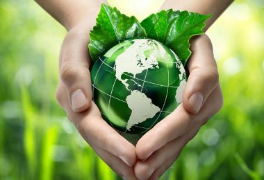 Medio Ambiente