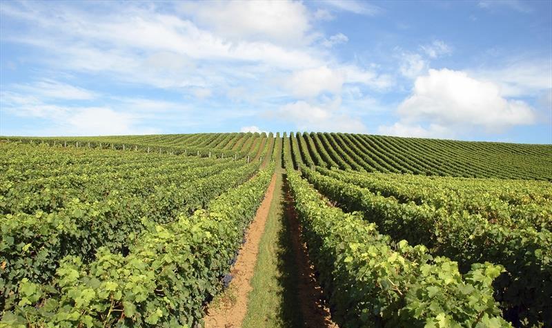 La agricultura emplea la filtración para elaboración de insecticidas o para tratamiento de aguas.