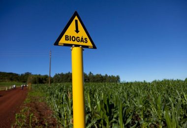 Biogas
