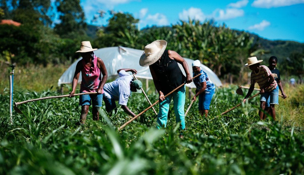 Agricultura, agricultores, campesinos.