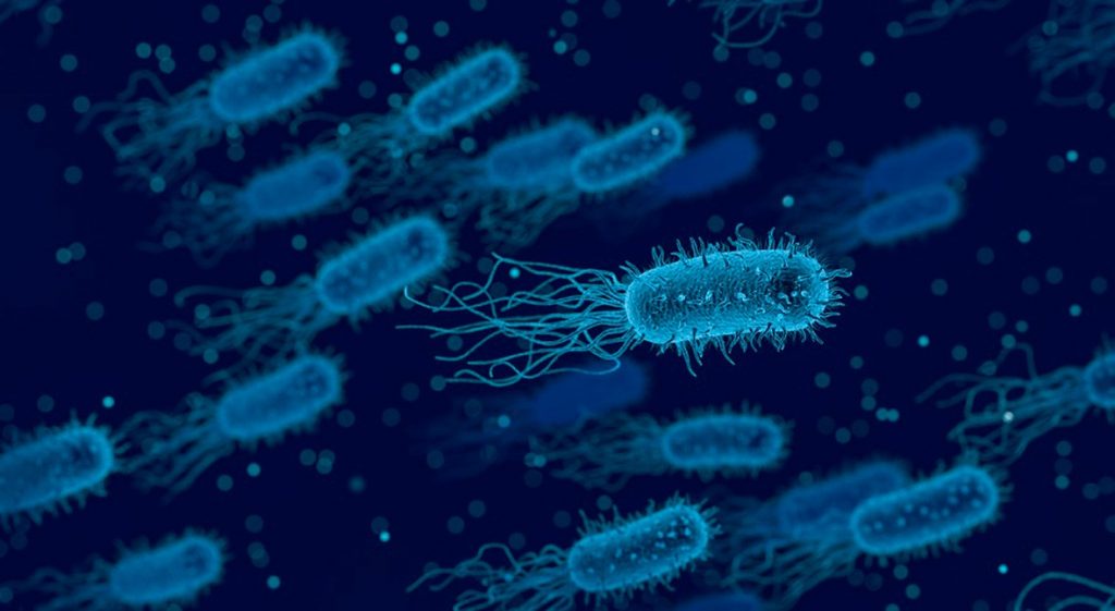 Métodos biológicos para tratamiento de agua, Colombia