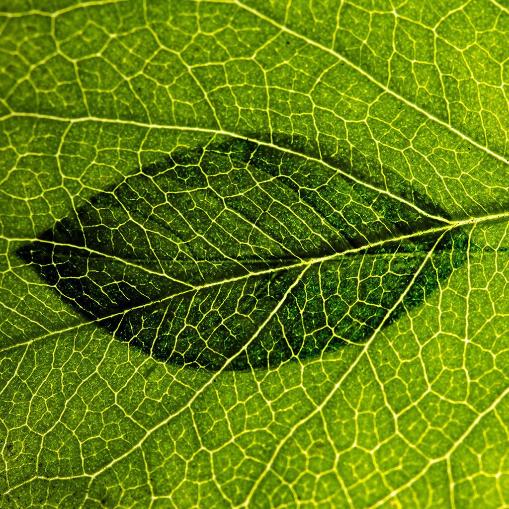 retos de la ingeniería ambiental