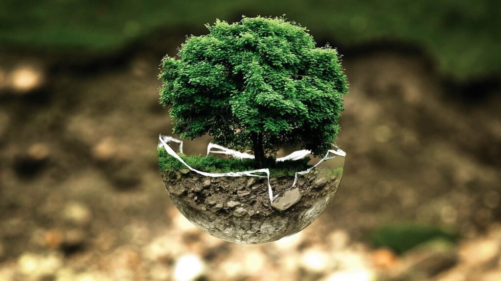 protección del medioambiente
