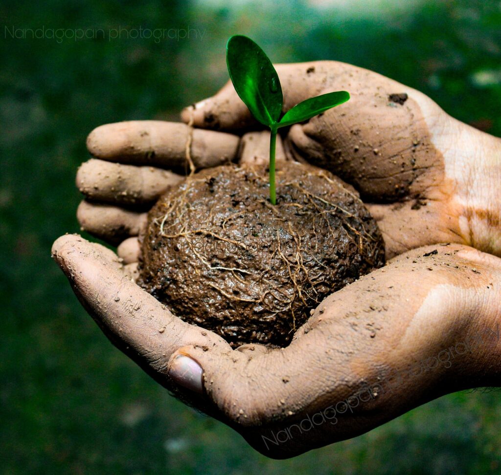 Preservación del medioambiente y sostenibilidad del agua