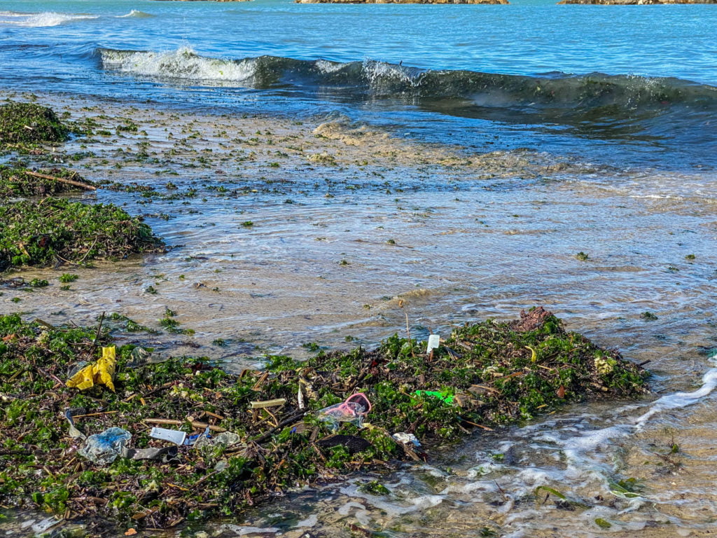 Daño ambiental