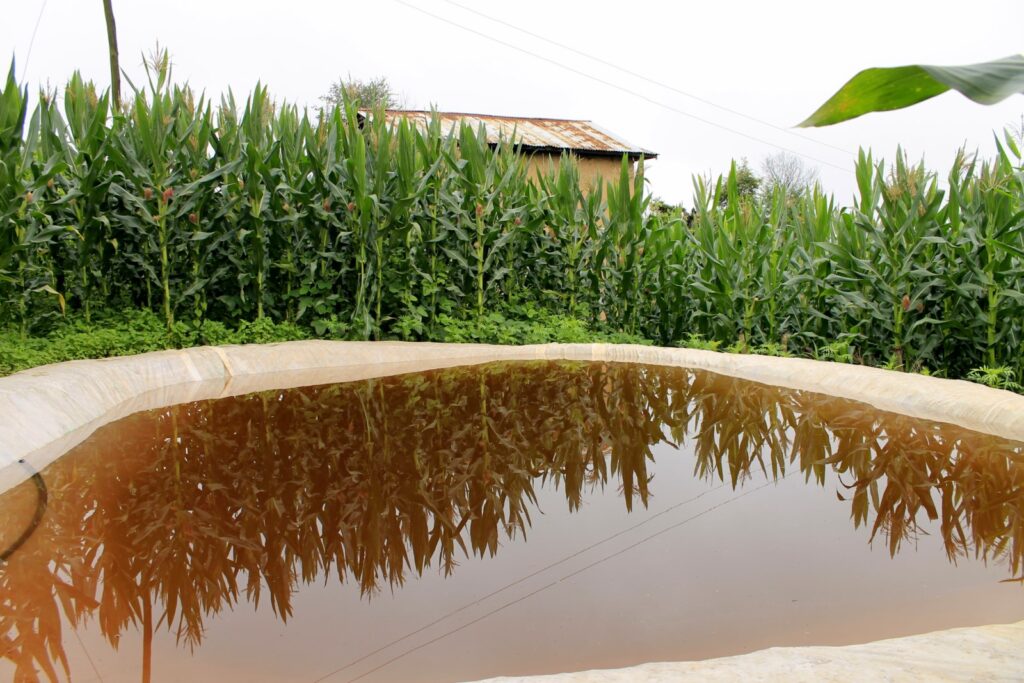 Agua lluvia tecnología para la sostenibilidad del agua