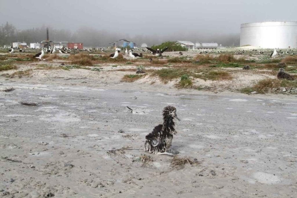 Impacto medioambiental